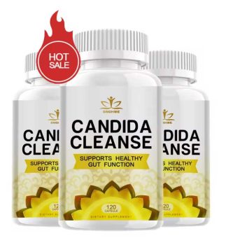 Supplement