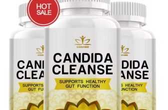 Supplement