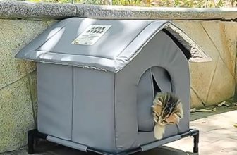 Waterproof Outdoor Pet House & Stray Cat Shelter