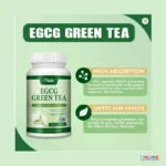 egcg-green-tea-safety-health-support