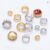 10Pcs Copper Claw Sew-On Rhinestones Gold Silver