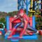 13ft 3D Cartoon Inflatable Bounce House Kids Party
