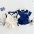2025 Boys College Style Letter T-shirt Shorts Set