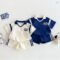 2025 Boys College Style Letter T-shirt Shorts Set
