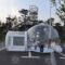 8.2 10 Ft Inflatable Bubble Tent Transparent Dome