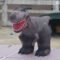 8m Giant Custom Inflatable Dinosaur Balloon Fast Shipping