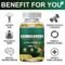 Ashwagandha Oyster Capsules for Men’s Daily Wellness Support
