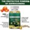Ashwagandha Oyster Capsules for Men’s Daily Wellness Support