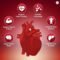 CoQ10 400mg 120 Capsules Heart Energy Antioxidant
