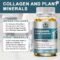Collagen Bone Complete Capsules for Joint Cartilage Support