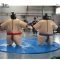 Commercial Inflatable Sumo Wrestling Suits Carnival Games