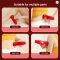 Electric Cupping Massage Instrument Vacuum Suction Cup Massager