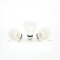 Kawasaki King Kong 500 Goose Feather Shuttlecocks (96 Pcs)