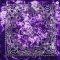 Hip Hop 100% Cotton Paisley Bandana Square Scarf