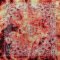 Hip Hop 100% Cotton Paisley Bandana Square Scarf