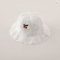 Lace Fisherman Sun Hat Baby Cotton Cherry Print