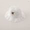 Lace Fisherman Sun Hat Baby Cotton Cherry Print