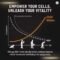 Liposomal NAD+ Cellular Energy Stamina Healthy Aging