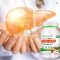 Liver Detox Capsules Pueraria Lobata Fatty Liver Support