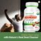 Liver Detox Capsules Pueraria Lobata Fatty Liver Support