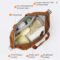 Mixi Women’s Large Capacity Foldable Travel Duffle Bag