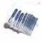 MyDestiny 11pcs Blue Makeup Brush Set Super Soft