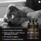 NAD+ Resveratrol Shilajit Cellular Energy Brain Support