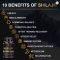 NAD+ Resveratrol Shilajit Cellular Energy Brain Support