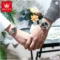 OLEVS Couple Watches Quartz Watch Luminous Date His Her