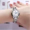 OLEVS Quartz Watch Stainless Steel Luxury Watch Women