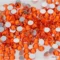 These Orange Rhinestones feature SS3–SS30 glass stones with silver backs. The sparkling Flatback Rhinestones are ideal for Nail Art, clothes, crafts, and DIY decoration.