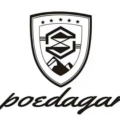 POEDAGAR Watches Store