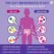 Probiotic Capsules with Prebiotics Enzymes for Digestive Support