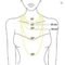 Real Freshwater Pearl Necklace Silver