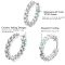 ALIZERO 2.6ct moissanite hoop earrings