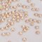 SS3-SS30 Crystal Golden Shadow Flatback Rhinestones Gold Bottom