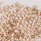 SS3-SS30 Crystal Golden Shadow Flatback Rhinestones Gold Bottom