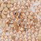 SS3-SS30 Crystal Golden Shadow Flatback Rhinestones Gold Bottom