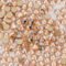 SS3-SS30 Crystal Golden Shadow Flatback Rhinestones Gold Bottom