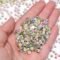 SS3-SS60 Crystal Gold Flatback Non Hotfix Rhinestones