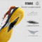 Sport Shoes