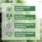 Saw Palmetto Prostate Hair Support Urinary Health