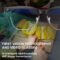 Premium AI smart glasses with camera