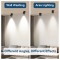 Foldable LED Ceiling Downlight – 3 Colors Adjustable Spotlight