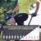 DAREVIE men’s seamless cycling bib shorts