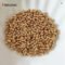 Shiny Gold Spacer Beads Collection