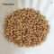 Shiny Gold Spacer Beads Collection