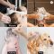 Silicone Scalp Massager Shampoo Brush Dandruff Removal
