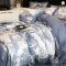 Silky Eucalyptus Lyocell Bedding Set Leopard Duvet Cover