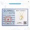 Silver Chakra AU585 14K Gold Unfold Your Heart Moissanite Necklace
